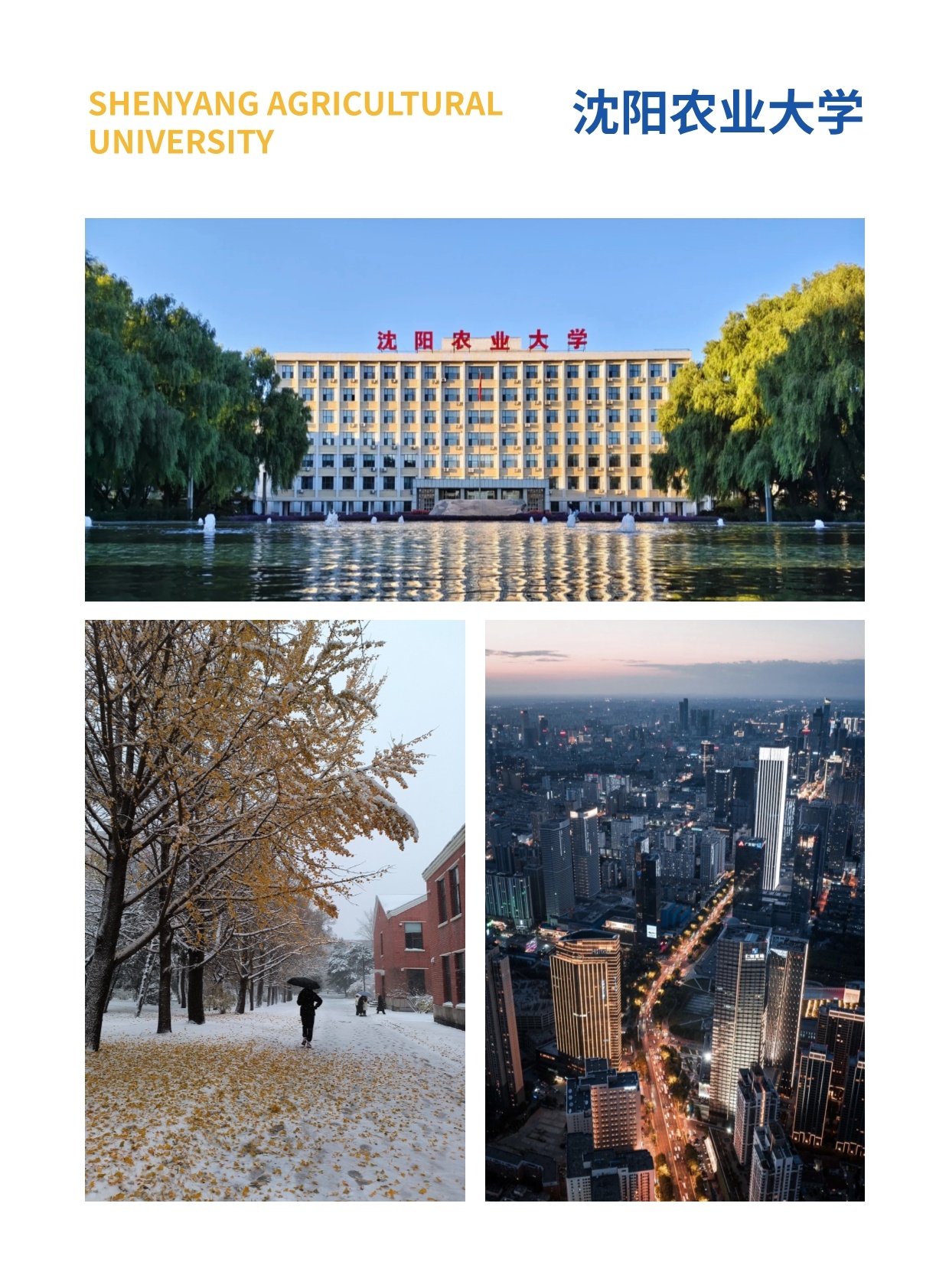沈阳农业大学2+0-农村发展硕士2025招生简章_第9页