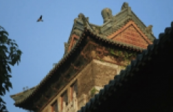 立即报名